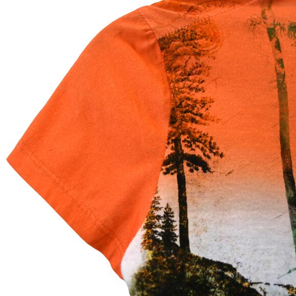 Etro Milano T-Shirt Size 40 Multicolor Zebra Print V-Neck Cotton Graphic Tee - Picture 8 of 12